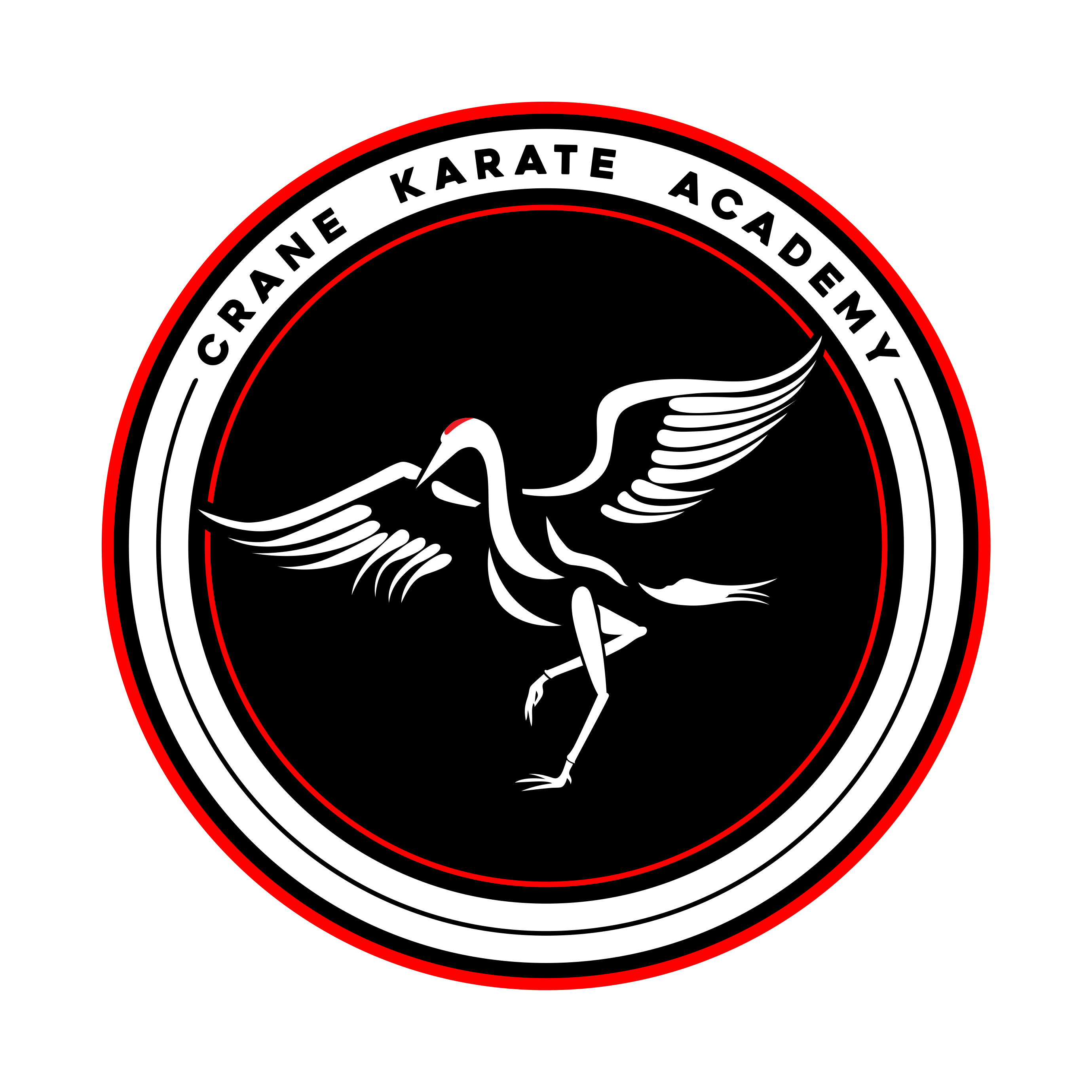 Crane-Karate-Academy